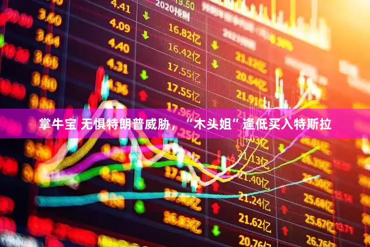 掌牛宝 无惧特朗普威胁，“木头姐”逢低买入特斯拉