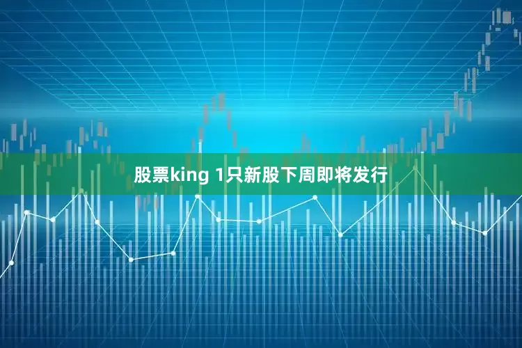 股票king 1只新股下周即将发行