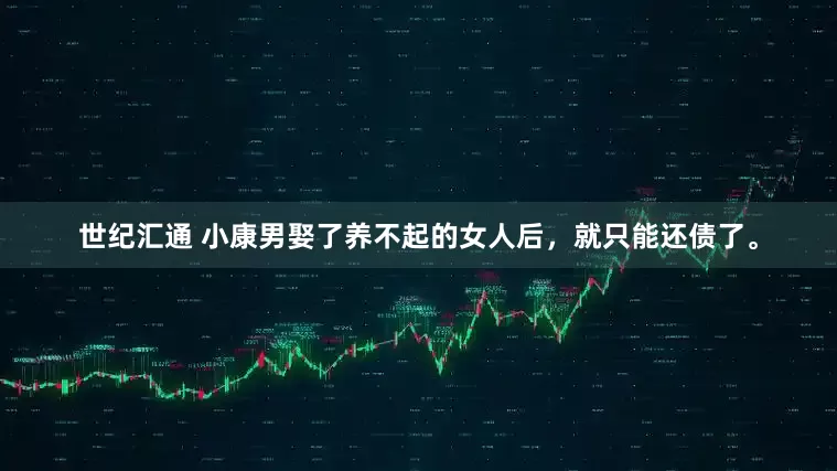 世纪汇通 小康男娶了养不起的女人后，就只能还债了。