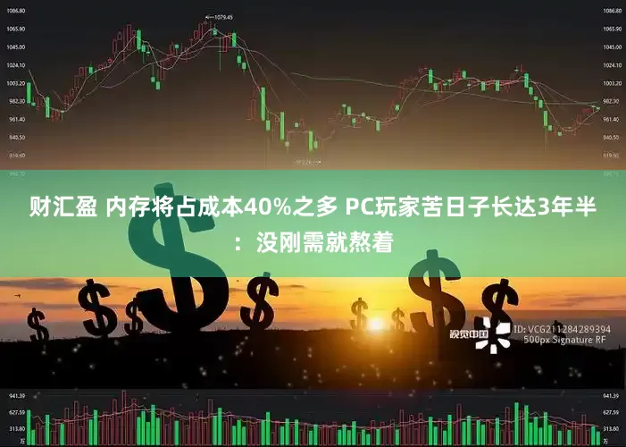 财汇盈 内存将占成本40%之多 PC玩家苦日子长达3年半：没刚需就熬着